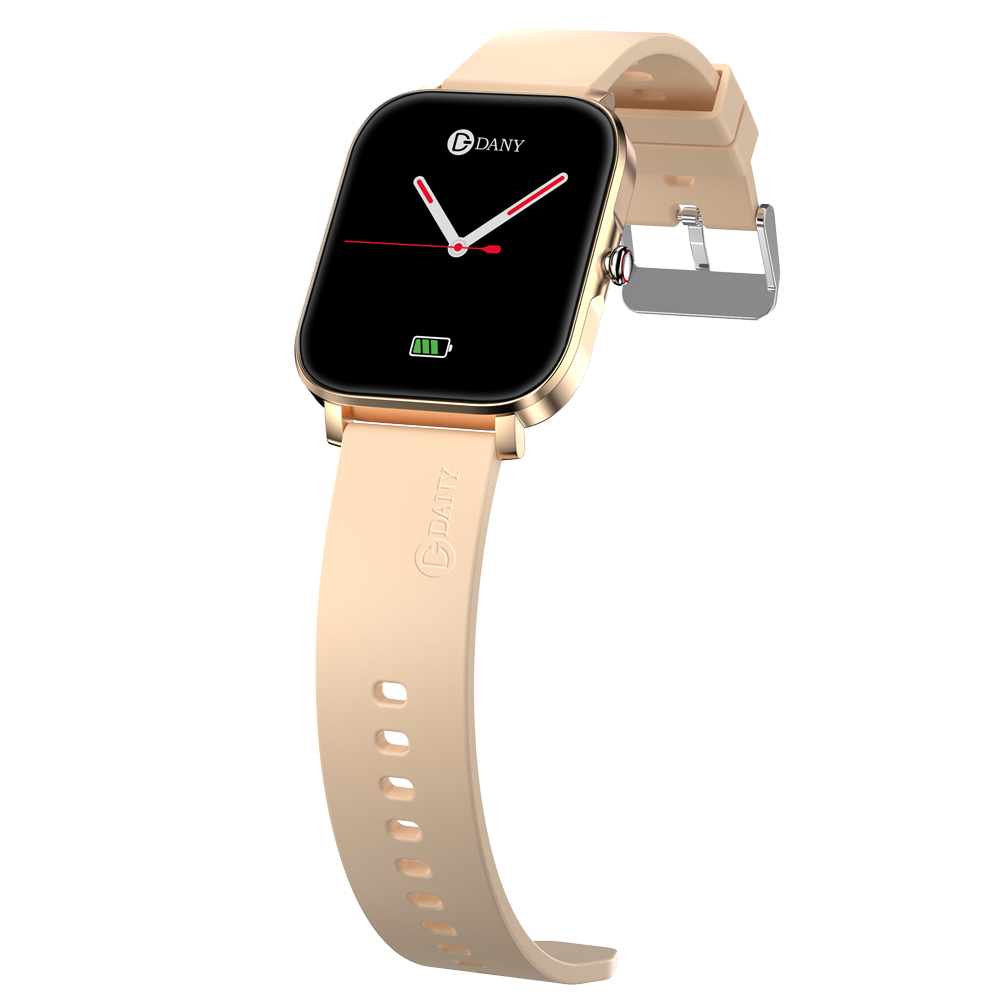 Smart Fit 3 Smart Watch